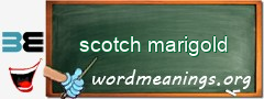 WordMeaning blackboard for scotch marigold
